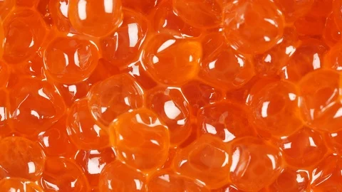 Red caviar rotated background. Salmon caviar close up. Salted fish caviar Video stock 122447824