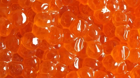 Red caviar rotated background. Salmon caviar closeup. Salted fish caviar Video stock 122452591