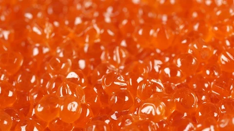 Red caviar rotated background. Salmon caviar close up. Salted fish caviar Video stock 122453982