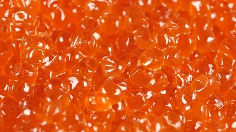 Red caviar rotated background. Salmon caviar close up. Low angle Video stock 122454105