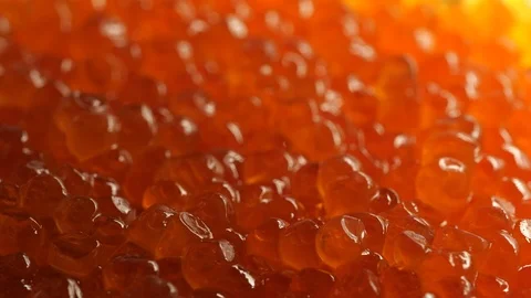 Red caviar rotated background. Salmon caviar closeup. Low angle Stock Footage 122455587
