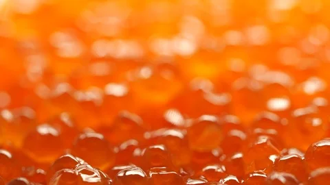 Red caviar rotated background. Salmon caviar macro. Low angle Video stock 122522437