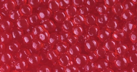 Red caviar rotated background. Salmon caviar close up rotation 스톡 동영상 128653656