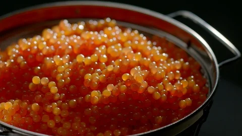 Red Caviar. Salmon fish eggs. Trout Delicatessen. Seafood. Molecular cuisine Video stock 113974874
