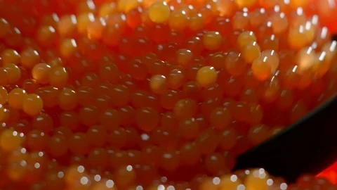 Red Caviar scoop up spoon. Close-up salmon caviar rotation. Trout Delicatessen. Stock Footage 113972055