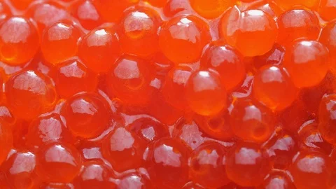 Red Caviar. Сlose-up. Stock Footage 126708877