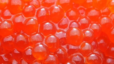 Red Caviar. Сlose-up. Stock Footage 127188453