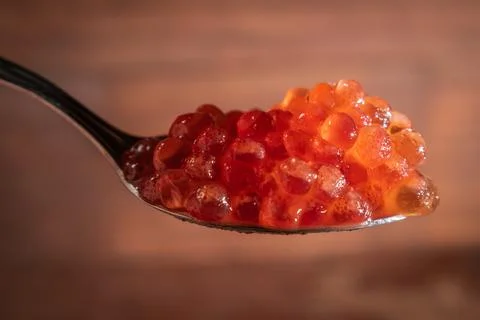 Red caviar on a small spoon Stock Photos