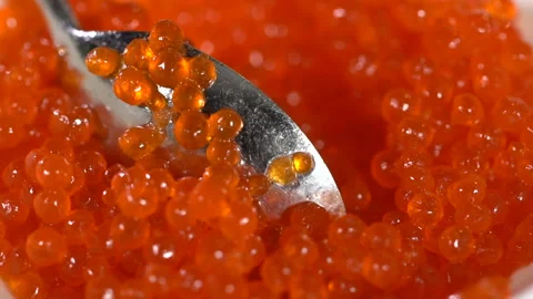 Red caviar stirred with a spoon. slow motion 動画素材 101459664