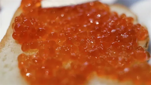 Red caviar on white toast bread. Close-up, real time, Stock Footage 108063645