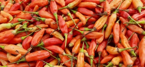Red cayenne pepper background Stock Footage 292283890