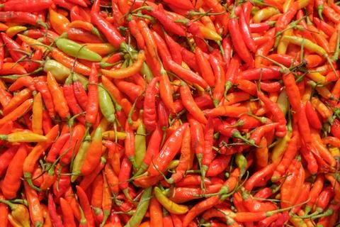 Red cayenne pepper for background Stock Photos