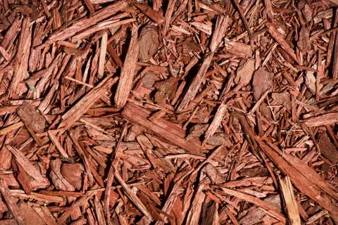 Red Cedar Mulch Stock Photos