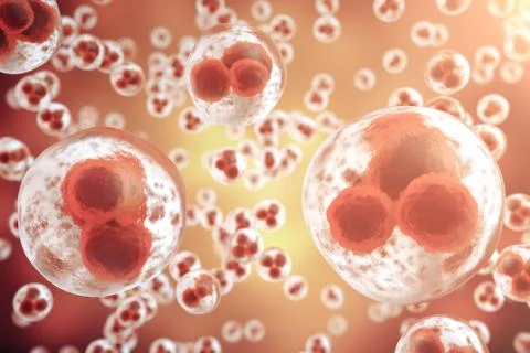 Red cell background. Life and biology, medicine scientific, molecular research Stock Illustration