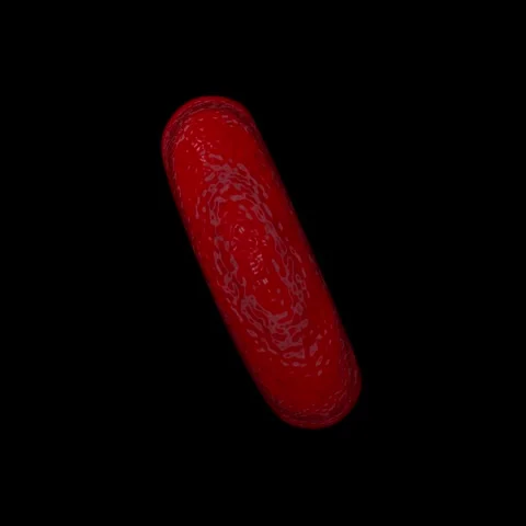 Red cell Stock Footage