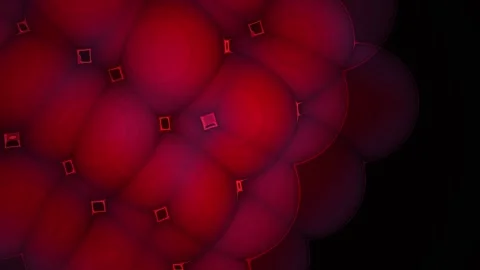 Red Cells on Black Background. Stock Footage 334344772