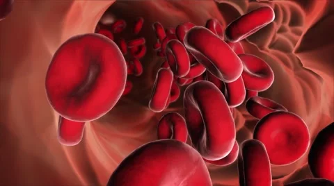 Red cells. Blood stream Stock Footage 61831284
