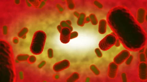 Red cells in plasma Stock Footage 43506201