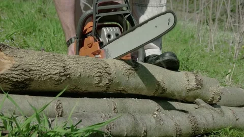 Red chainsaw sawn a timber Stock Footage 75406515
