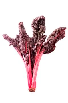 Red Chard Stock Photos
