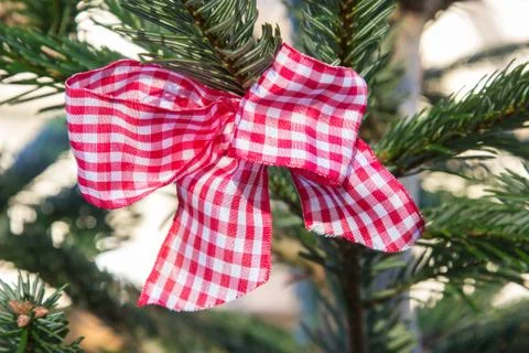 Red checked bow at christmas tree Foto stock