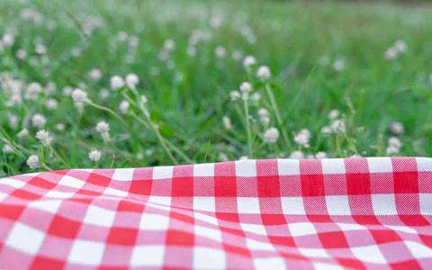Red checkered tablecloth texture with on green grass at the garden Stock Photos