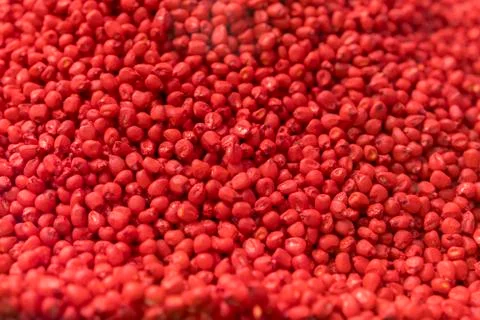 Red Chemically treated corn seed. Treated colorful corn seeds ready for plant Stock Photos