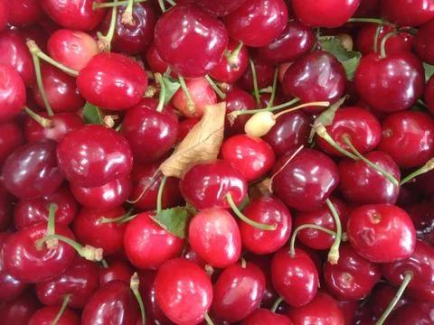 Red cherries in a basket Stock Photos