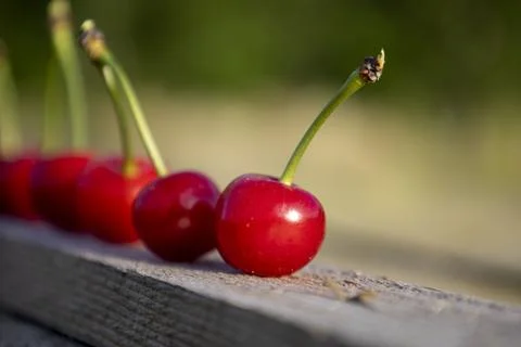 Red cherries on a board. Selective focus. Stock Photos