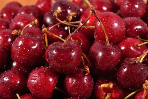 Red cherries close up Stock Photos