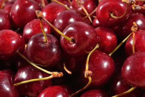 Red cherries close up Stock Photos