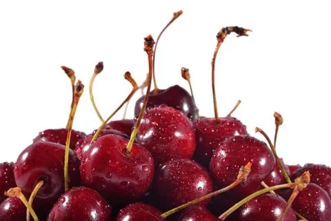 Red cherries close up on a white Stock Photos