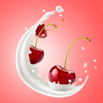 Red cherries fly with splashes of milk on a pink background. Stock Photos