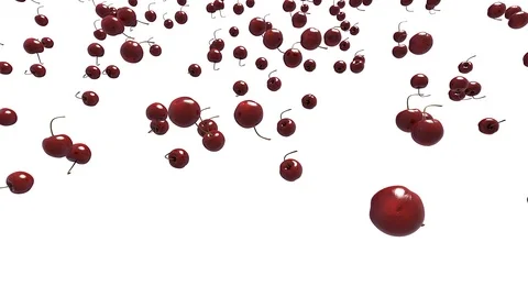 Red cherries flying towards the camera on white bacground. Stock Footage 93779431