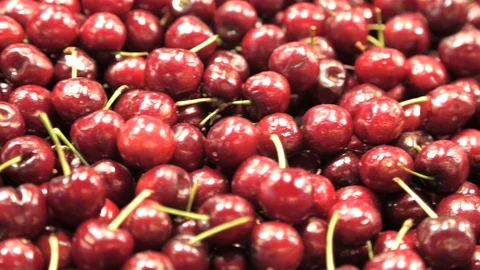 Red cherries Stock-Footage 108456167