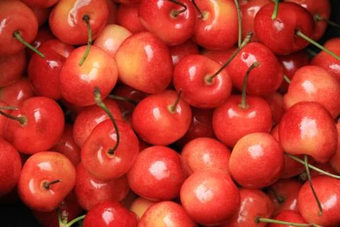 Red cherries fruit background Stock Photos