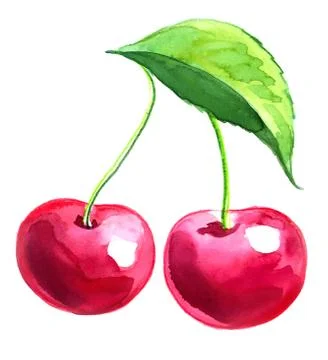 Red cherries Stock Illustration