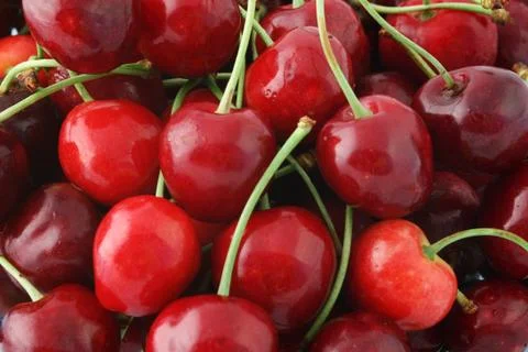 Red cherries Stock Photos