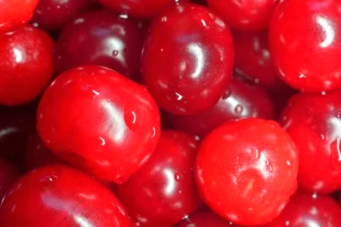 Red cherries Stock Photos