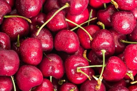 Red cherries Stock Photos