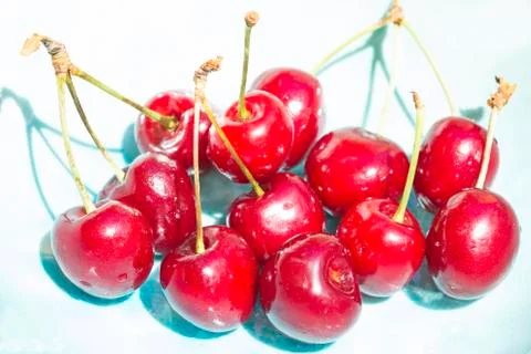 Red cherries Фото