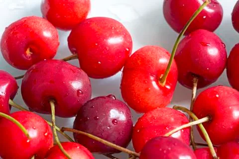 Red cherries Фото