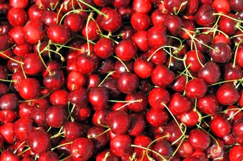 Red cherries Stock Photos
