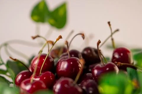 Red cherries Stock Photos