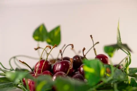 Red cherries Stock Photos