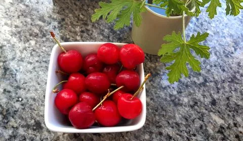 Red cherries 库存照片