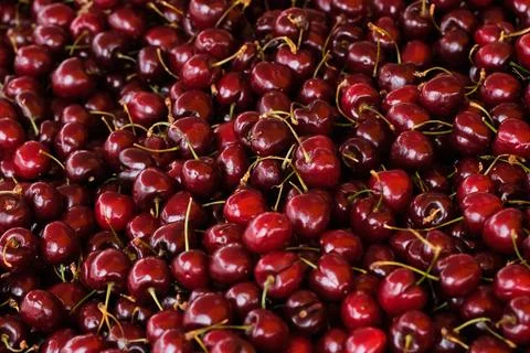 Red cherries Stock Photos