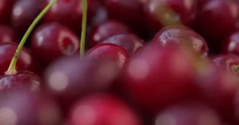 Red Cherries Rotating behind a Blurred Foreground Vídeo Stock 135628024