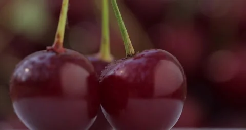 Red Cherries Turning before a Cherry Background Vídeos de archivo 135714104