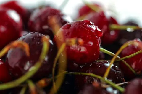 Red cherries with water drops macro background Stock Photos